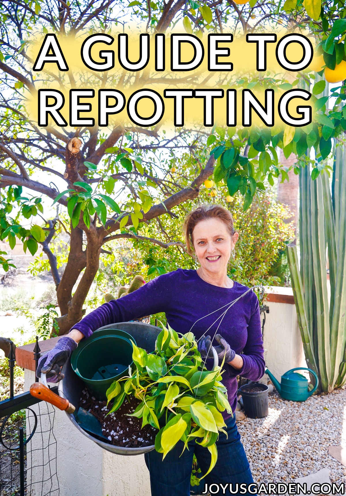  Repotting Plants: Mga Pangunahing Pangunahing Dapat Malaman ng mga Hardinero