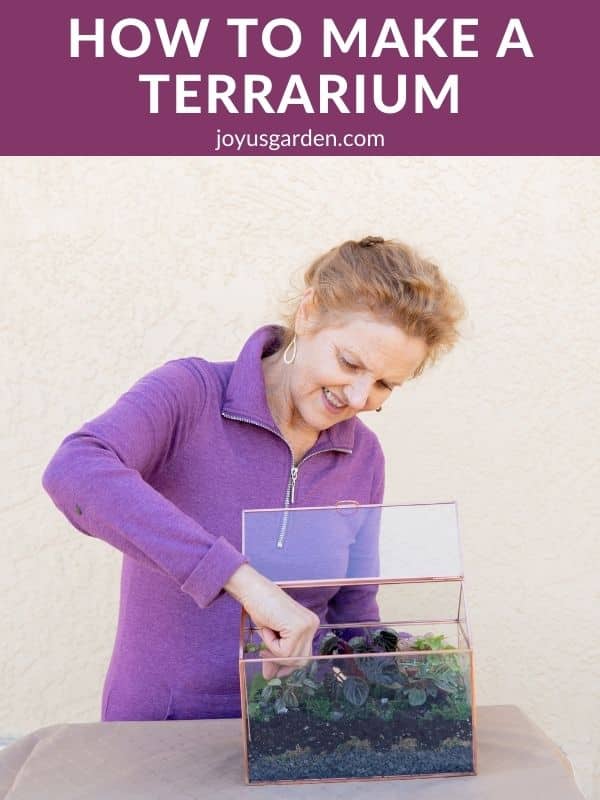  Hoe meitsje in terrarium: 4 DIY Terrarium Ideeën