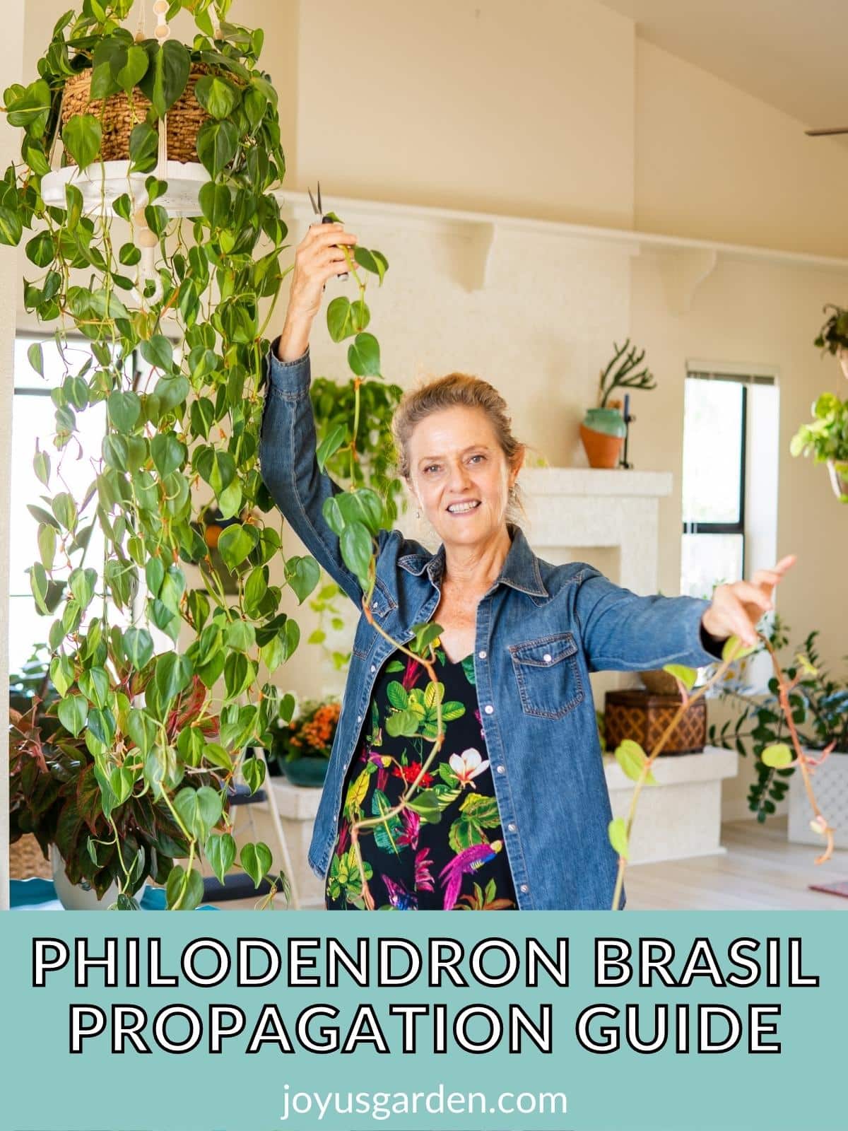  Luchdaich a-nuas Philodendron Brasil