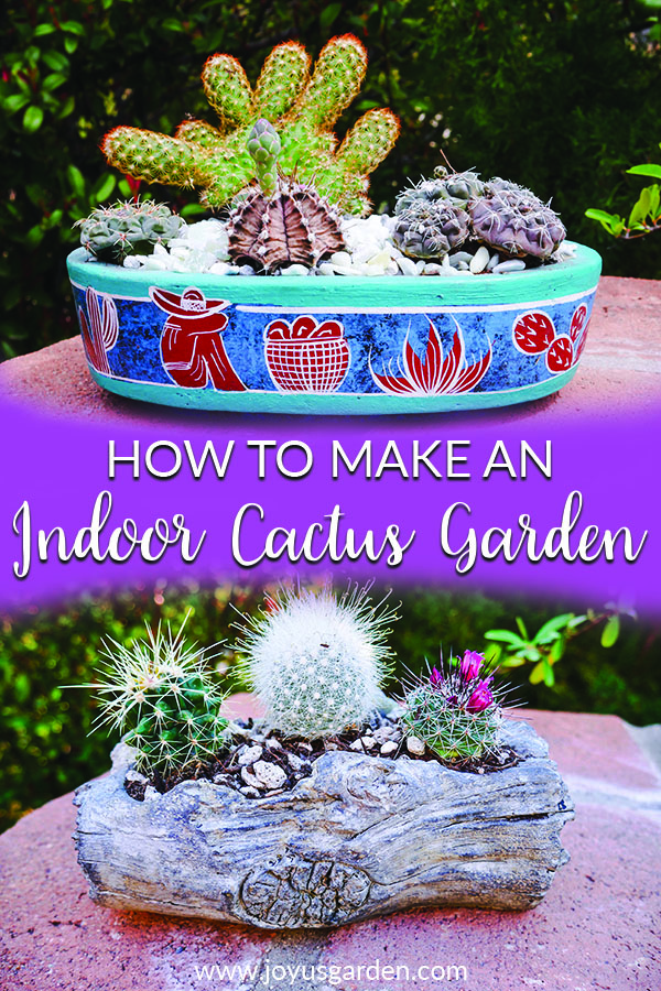  Miten tehdä Indoor kaktus Garden