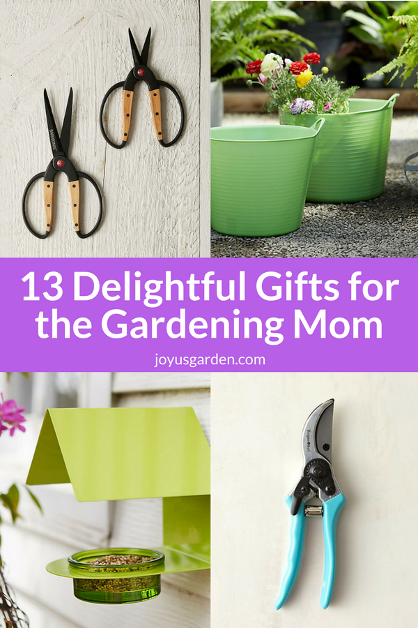  Садівничі подарунки для мами: найкращі ідеї подарунків на День матері