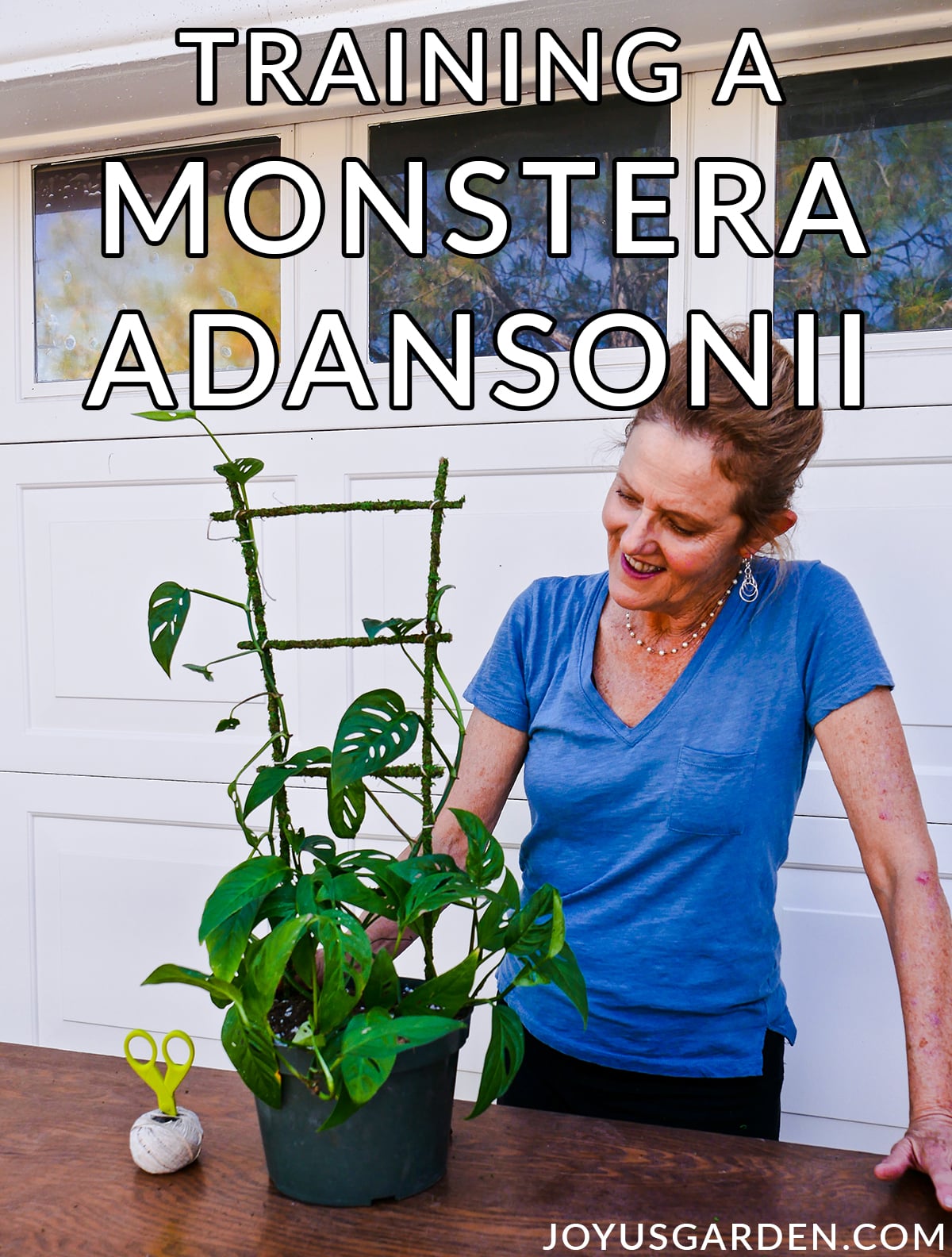  ತರಬೇತಿ Monstera Adansonii + ಎ ಮಾಸ್ ಟ್ರೆಲ್ಲಿಸ್ DIY