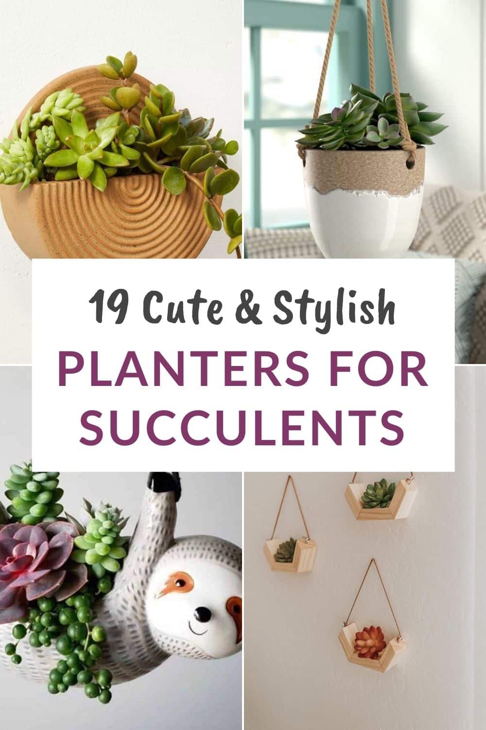  19 Hangplanters foar succulenten