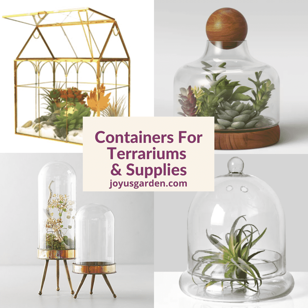  Pojemniki do terrarium: szklane pojemniki i materiały do terrarium