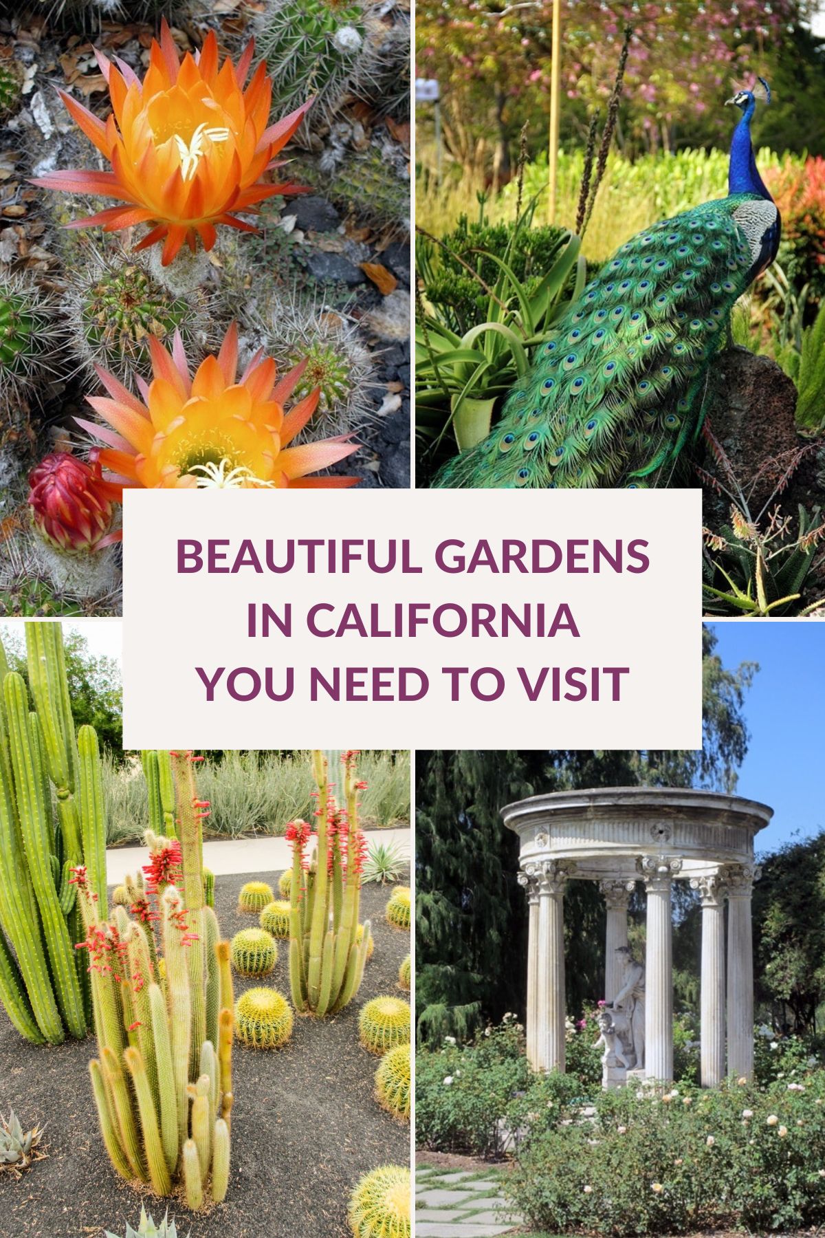  کیلیفورنیا میں 22 خوبصورت باغات جو آپ کو پسند آئیں گے۔