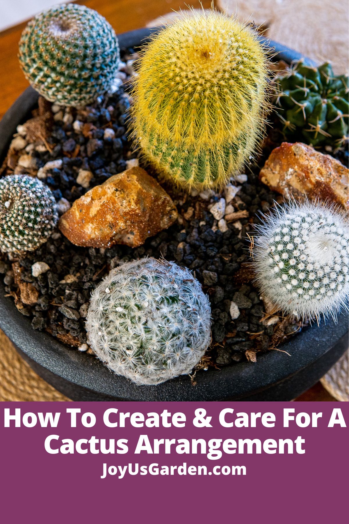  Kako ustvariti &amp; amp; skrb za kaktus aranžma
