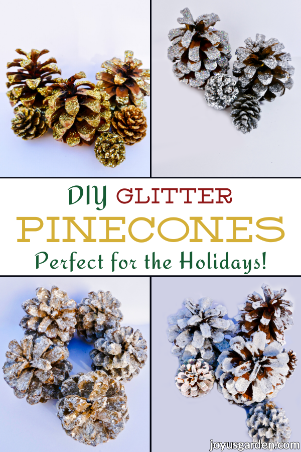  DIY Glitter Pinecones: 4 Vojoj