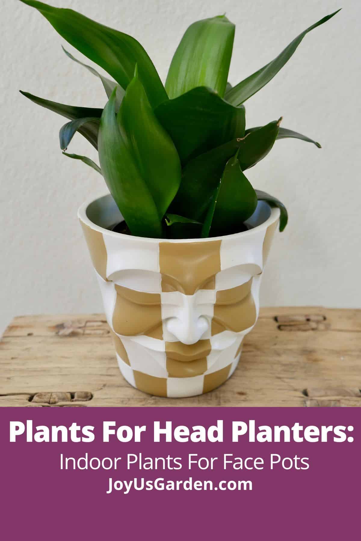  Kasvit Head Planters: Sisäkasvit kasvojen ruukkuihin