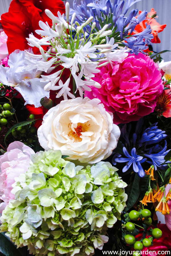  Xardinería de flores orgánicas: cousas boas para saber
