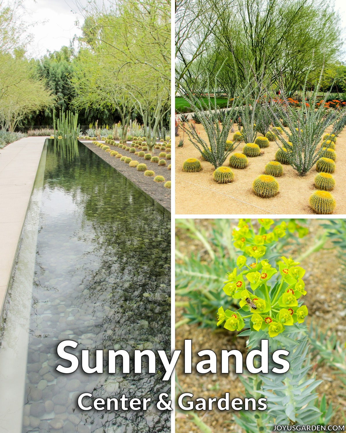  Sunnylands Centrum en tuinen in Palm Springs