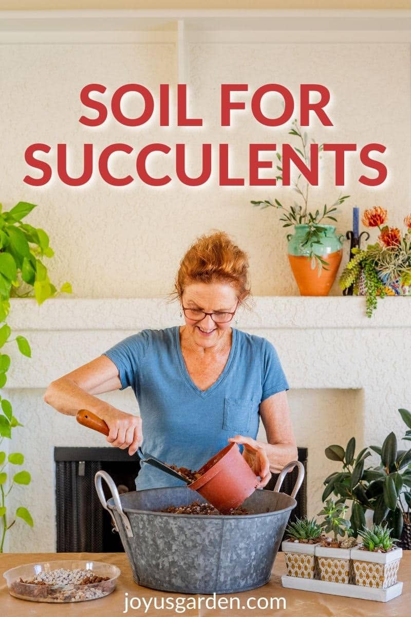  Succulent Soil Mix - အရည်ရွှမ်းသောအပင်များအတွက် အကောင်းဆုံး