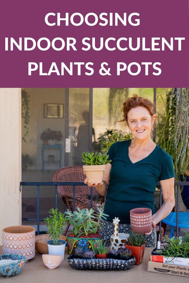  Binnenshuise vetplante: Die keuse van vetplante &amp; amp; Potte