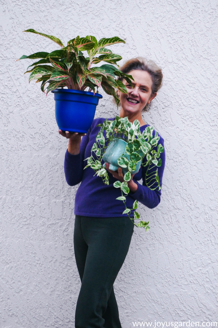  Nell's Horticultural Adventures: A Love With Plants House