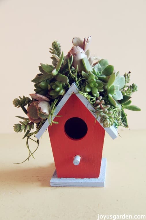  Πώς να δημιουργήσετε ένα μικρό birdhouse διακοσμημένο με παχύφυτα