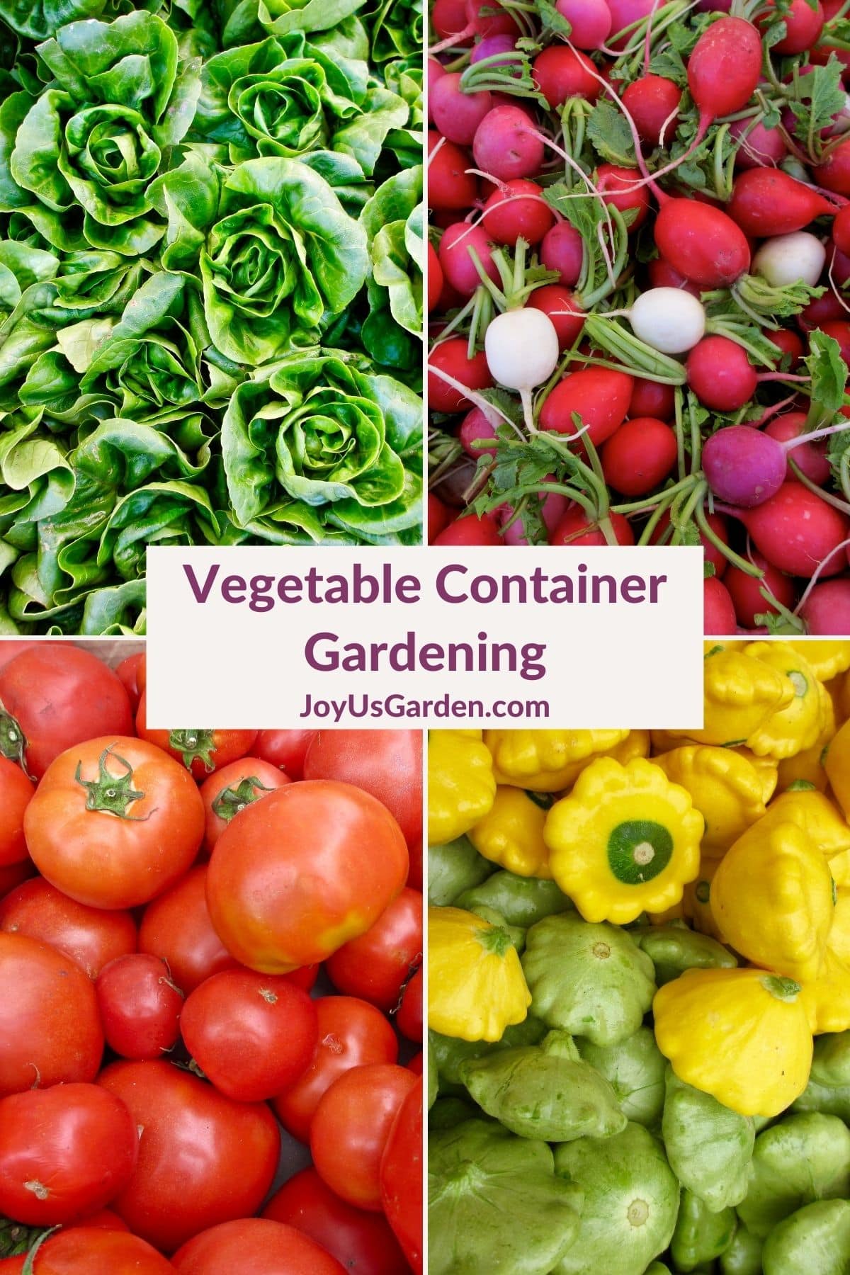  Vrtnarjenje z zelenjavo v posodah: pridelovanje hrane na domu