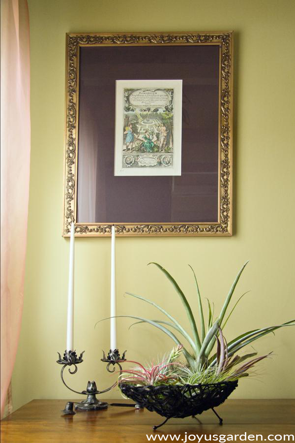  მარტივი სახლის დეკორი წვრილმანი ჰაეროვანი მცენარეების გამოყენებით