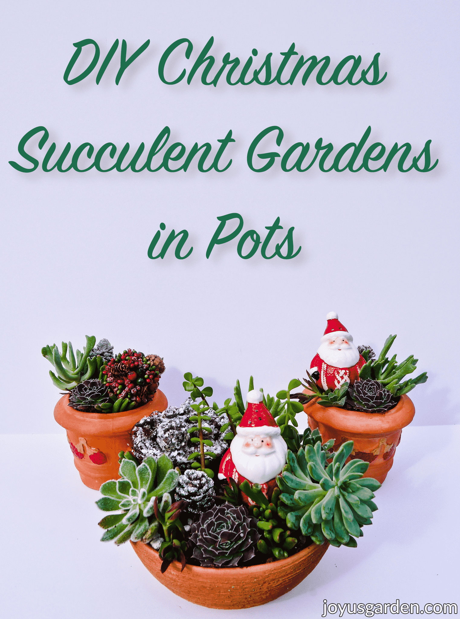  Χριστουγεννιάτικες συνθέσεις με παχύφυτα σε γλάστρες: ένα εορταστικό DIY κήπο με παχύφυτα