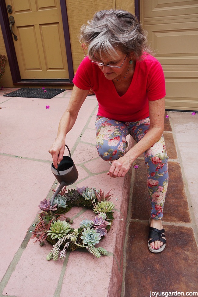  Cara Mengekalkan Kalungan Bunga Succulent Anda Hidup dan Kelihatan Baik