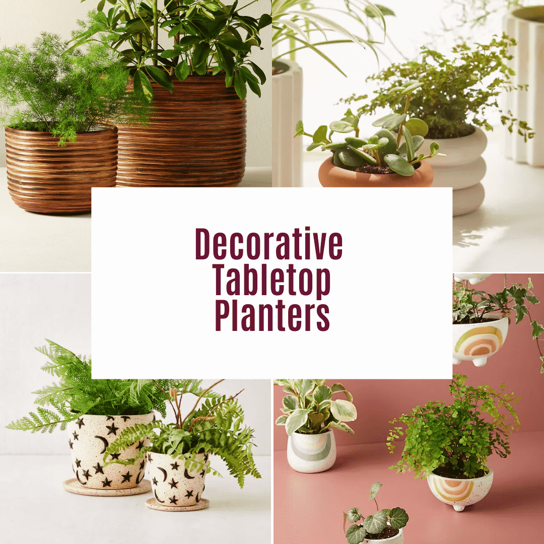  Jardinières de table : 12 pots qui donnent du cachet à votre décoration d'intérieur