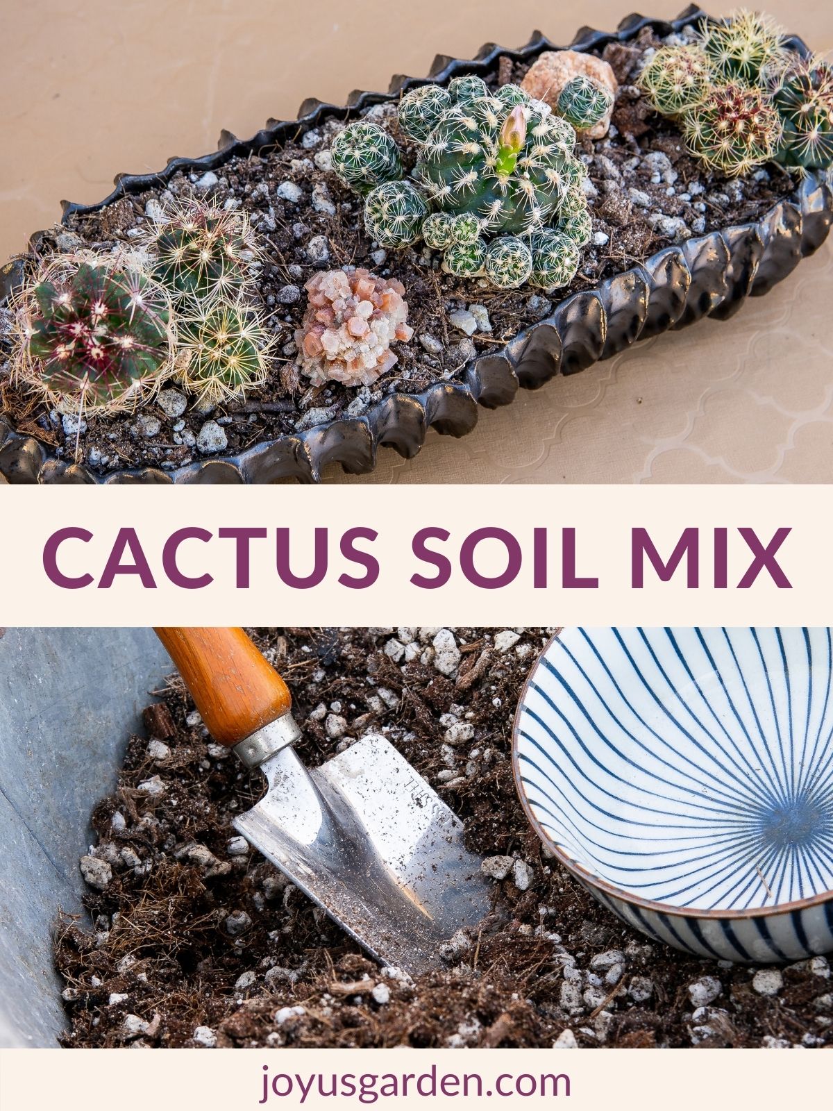  Vodič za mješavinu tla za kaktuse (+ kako napraviti svoju)