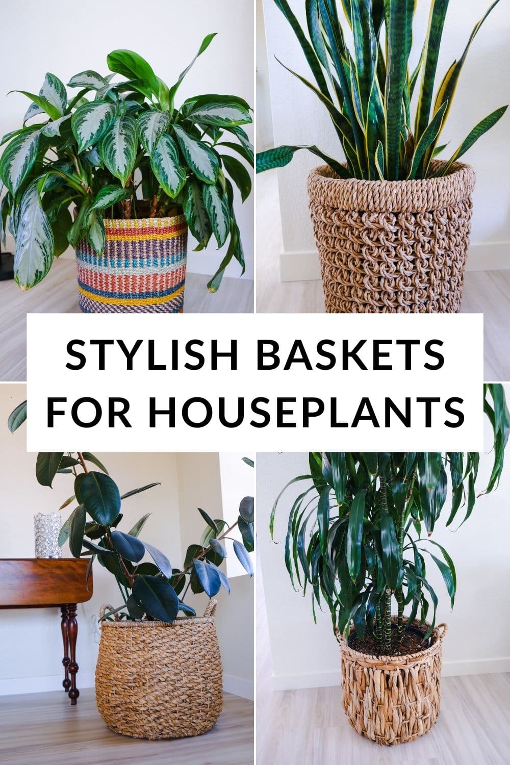  25 cestas decorativas para plantas que te encantarán