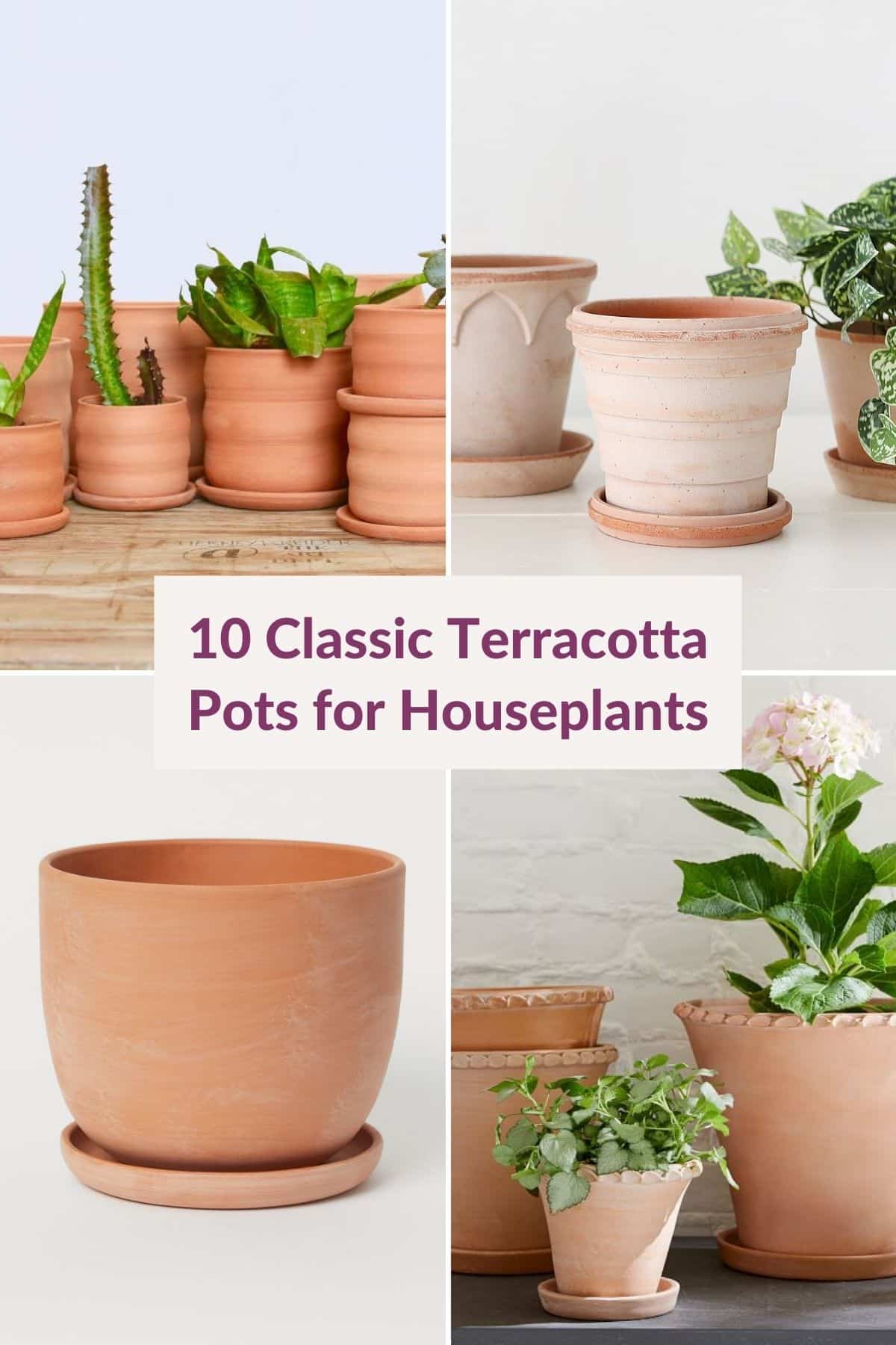  13 klassiske terrakottapotter for potteplanter du vil elske